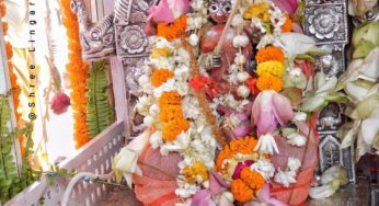 ରଜପର୍ବ ଓ ଭୂମାତା (Raja Parba)