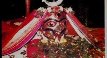 ଲିଙ୍ଗରାଜଙ୍କ ଦାମୋଦର ବେଶ
