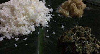 ବୁଙ୍ଗା