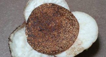 ଶ୍ରାଵଣ ଅମାଵାସ୍ୟା