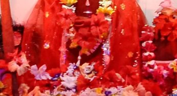 ଢେଙ୍କାନାଳର ଆଦ୍ୟଦେବୀ