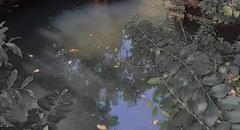 ଆମ୍ବିଳିଝରିର ପ୍ରାଚୀନ କୂଅ
