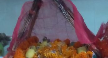 ସତ୍ୟନାରାୟଣ ପୂଜା
